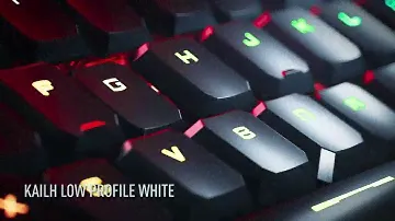 VIGOR GK50 Low Profile TKL Gaming Keyboard
